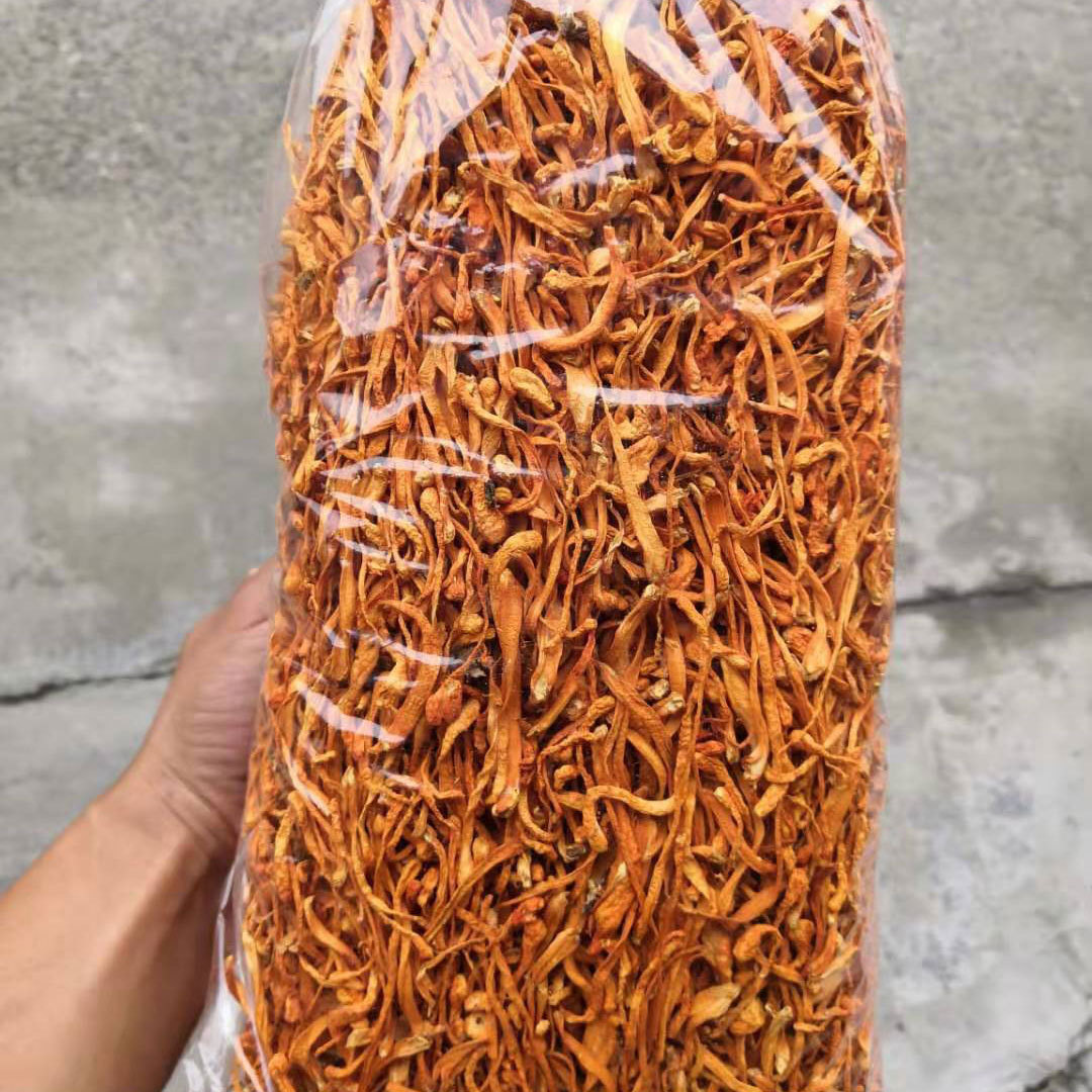 Đông Trùng Hạ Thảo Sấy Khô 100Gr