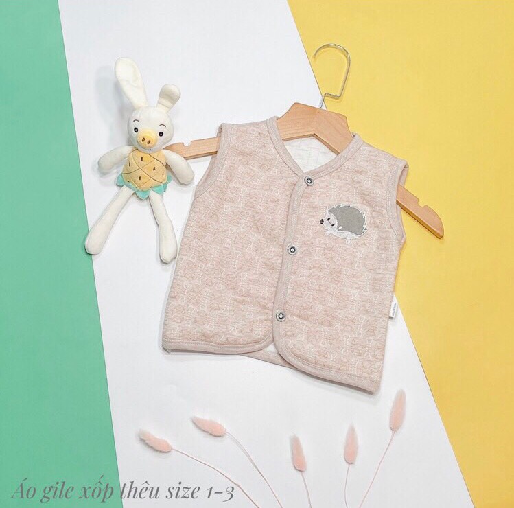 áo gile trần bông leelee kid ( sỉ lẻ đồ sơ sinh bebong86 )