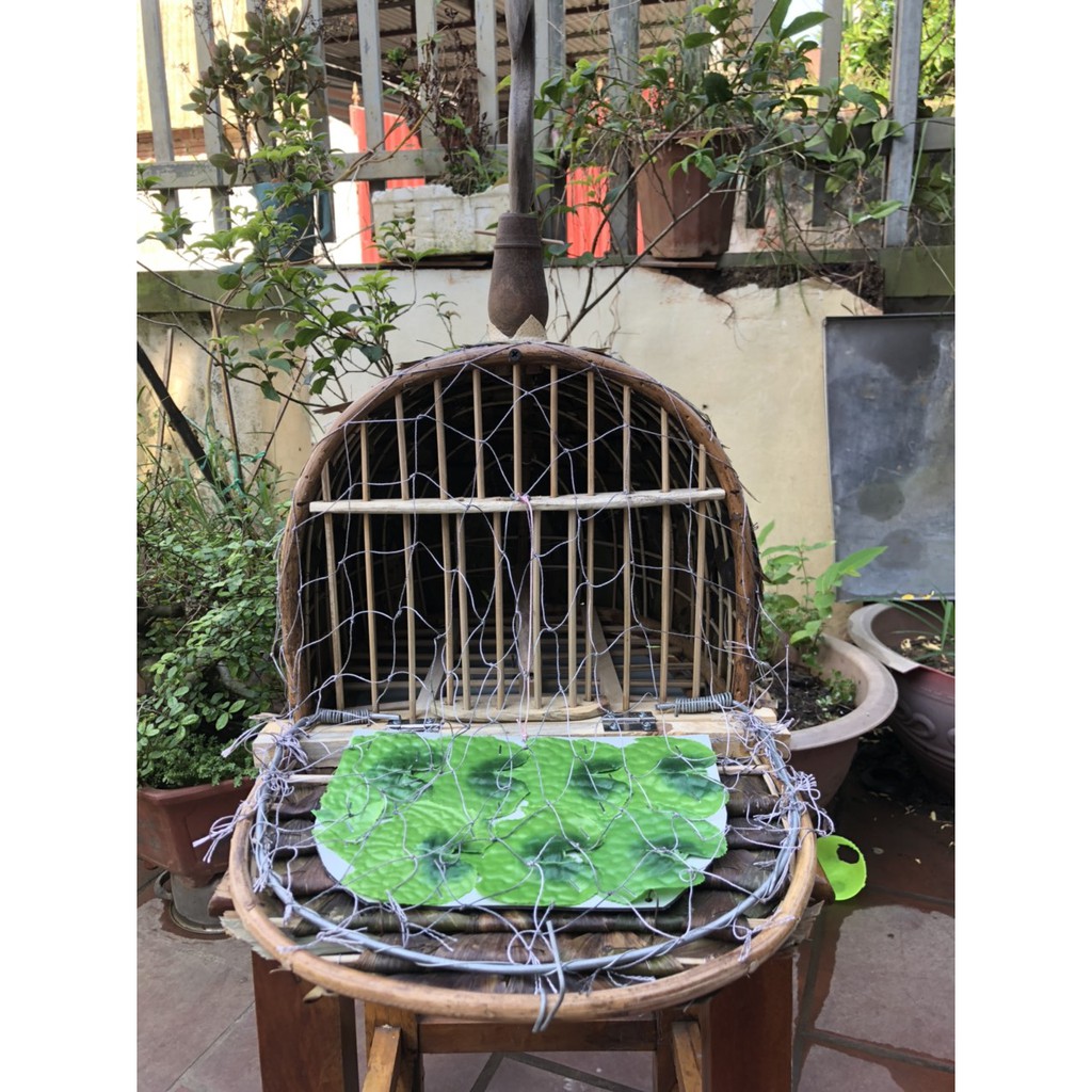 Lồng bẫy chim cu gáy cao cấp lợp lá lò xo siêu nhạy tặng kèm giỏ thóc Lồng chim Kabosa