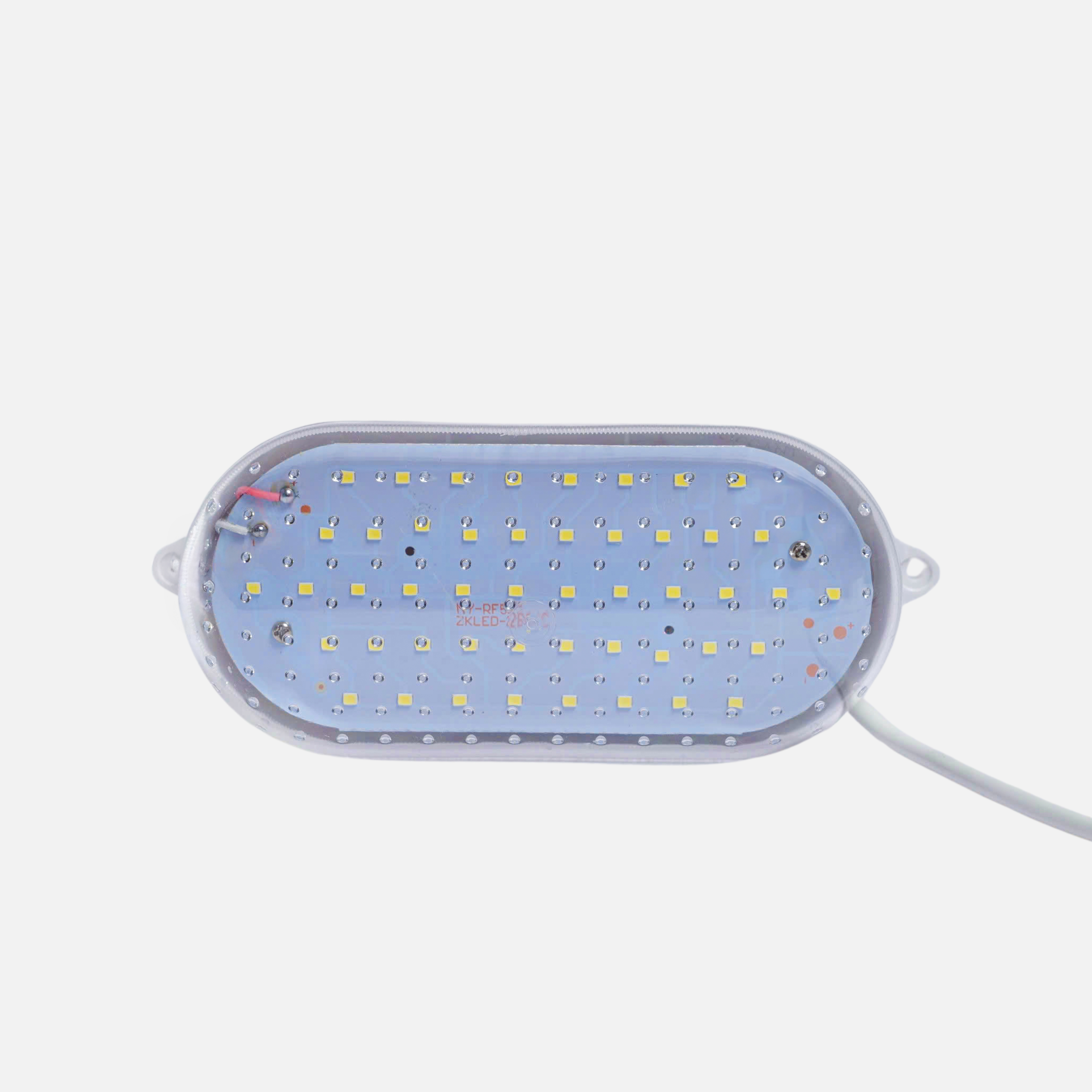 ĐÈN LED KHO LẠNH OVAL 10W - Ánh sáng trắng