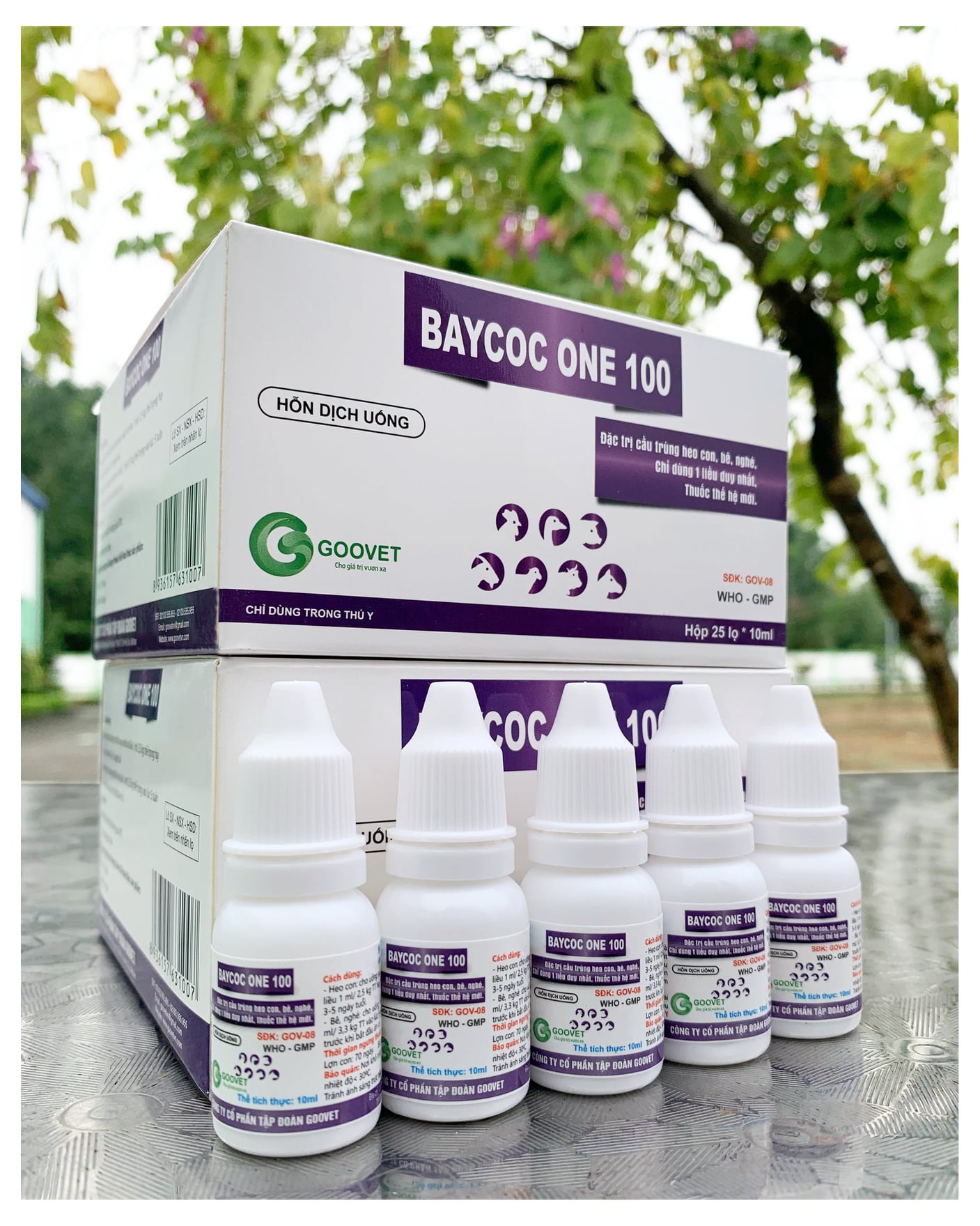 Baycoc one 100 10ml- Đặc trị cầu trùng