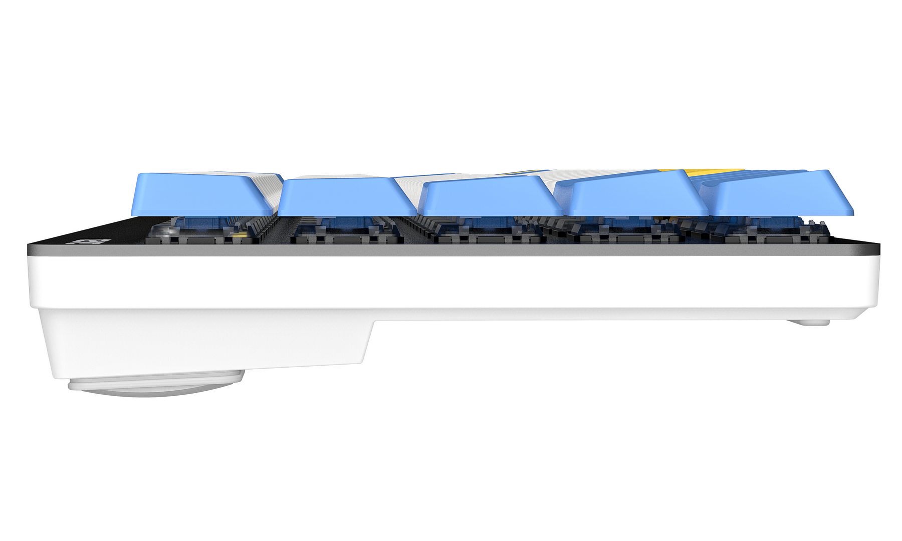 Bàn phím cơ không dây DAREU EK868 - 68KEY (SLIM, D-KAILH switch)