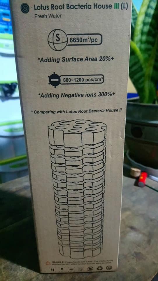 [HCM]Sứ củ sen soắn ốc thế hệ 3 (Bacteria House) Mountain tree Root 3
