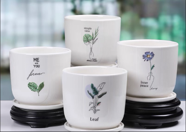 Chậu trồng cây size 17cm - kèm đĩa đựng nước