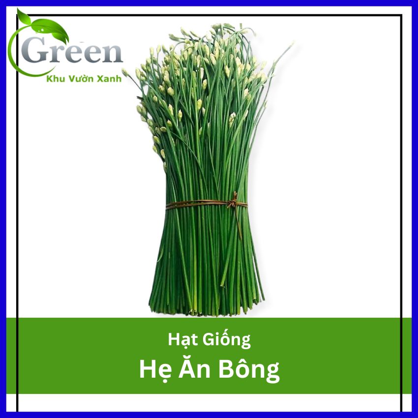 Hạt Giống Hẹ Ăn Bông Dễ Nảy Mầm, Thu Hoạch Liên Tục Kéo Dài
