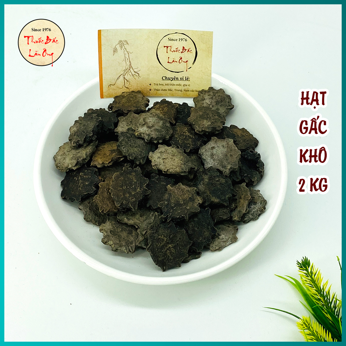 Hạt gấc khô 2kg hỗ trợ điều trị chấn thương, bệnh trĩ
