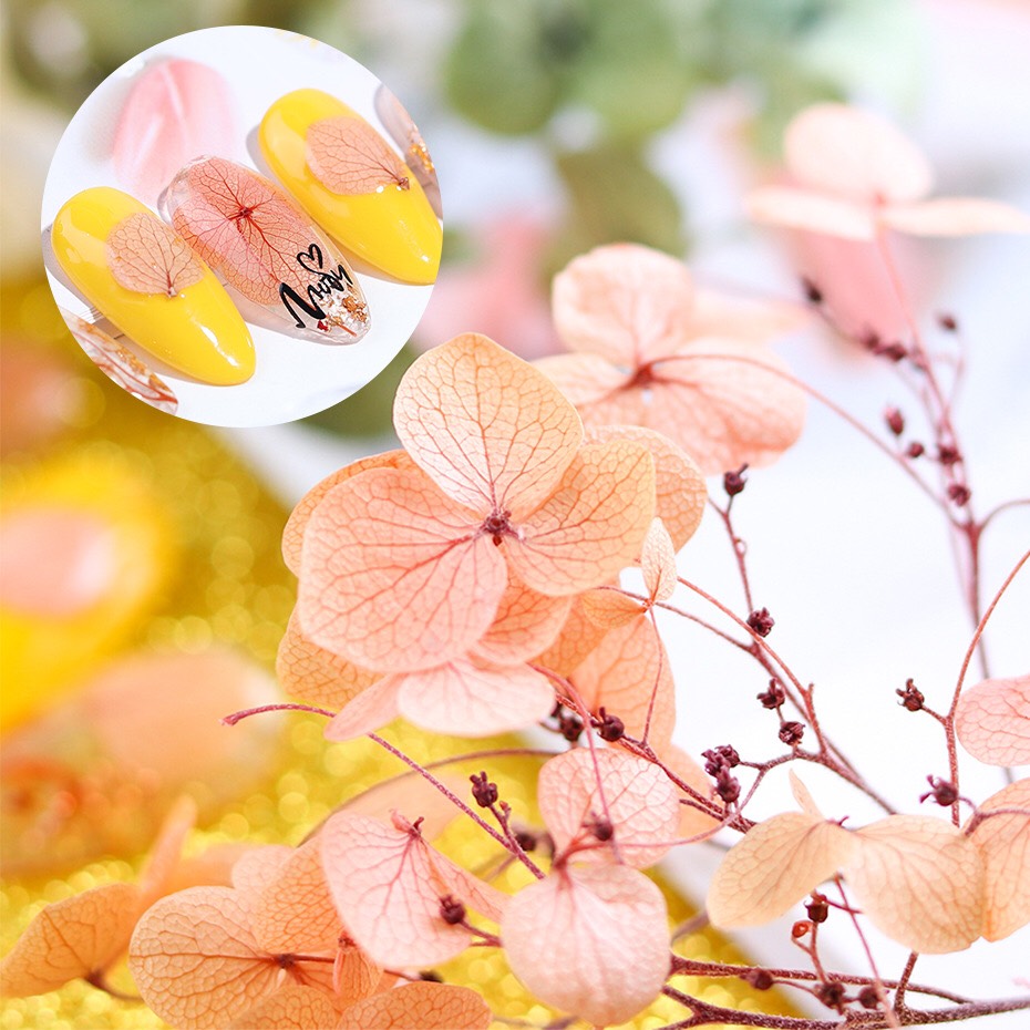 Hoa khô cánh lớn dùng ẩn trang trí móng nghệ thuật