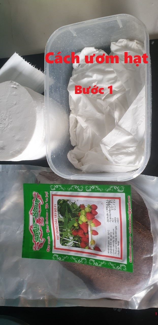 Hạt giống Dưa Lưới Melo 10 Hạt