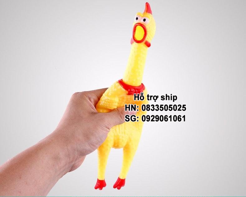 Hanpet - HP- Đồ chơi chó mèo các loại bóng chó chơi bóng mèo chơi banh chó mèo nhiều loại