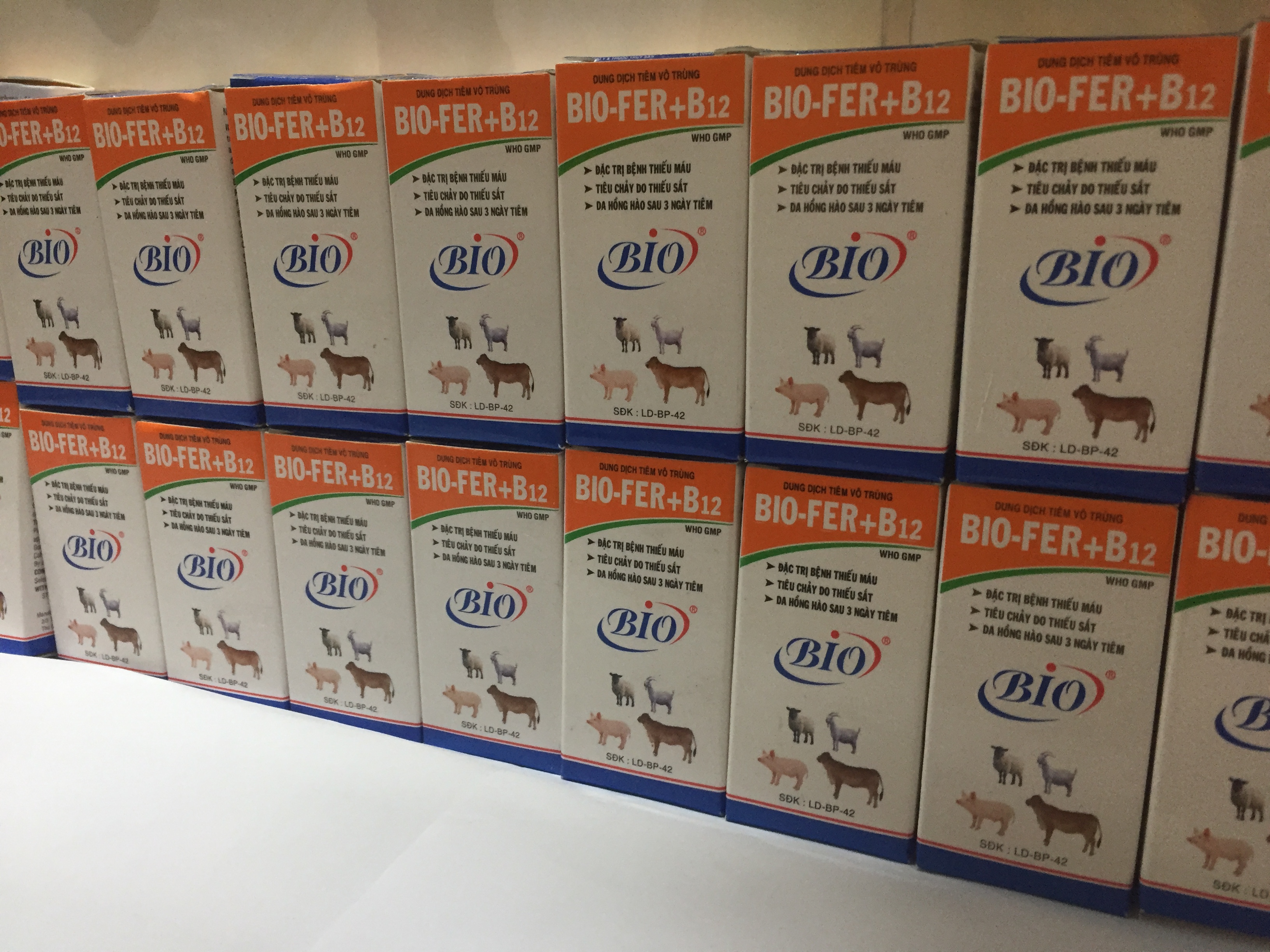 BIO-FER+B12 20ml. BỔ SUNG SẮT CHO HEO CON, BÊ NGHÉ
