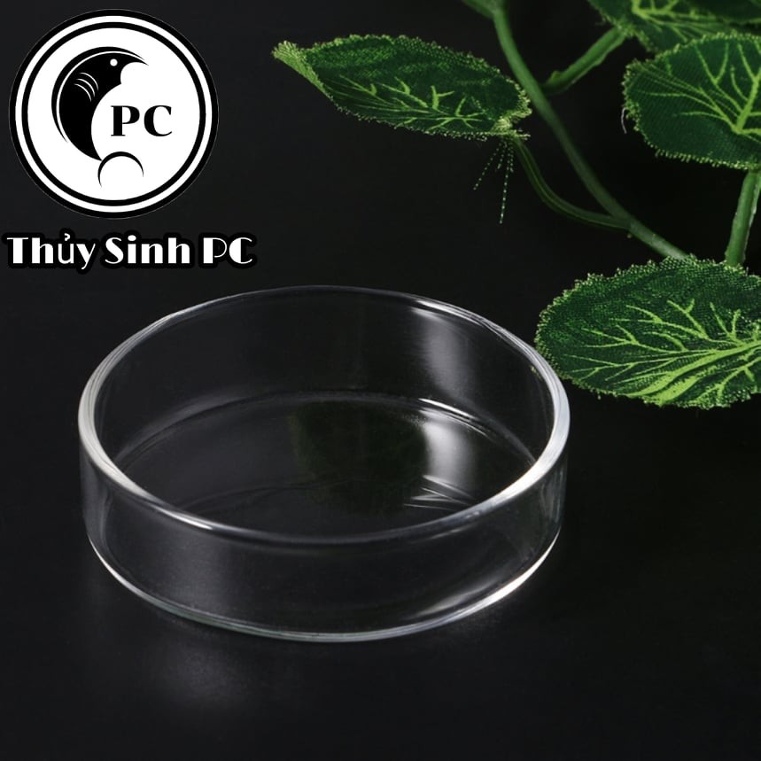 Khay đĩa thức ăn cho cá tép cảnh