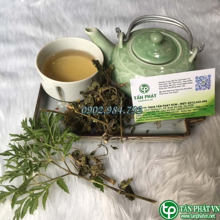 Cây cứt lợn 1kg khô - Hàng công ty chất lượng cao - Chuyên dùng để pha trà thanh nhiệt và giải độc - Thảo Dược Tấn Phát