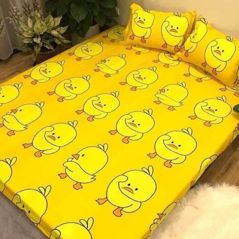 Bộ ga gối 3 món poly cotton 1m6. 1m8