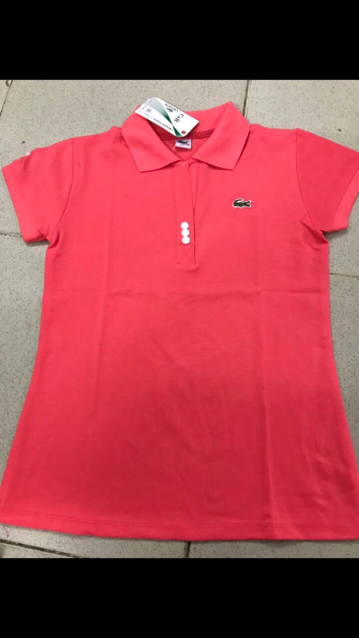Áo thun cá sấu (size 40-70kg)
