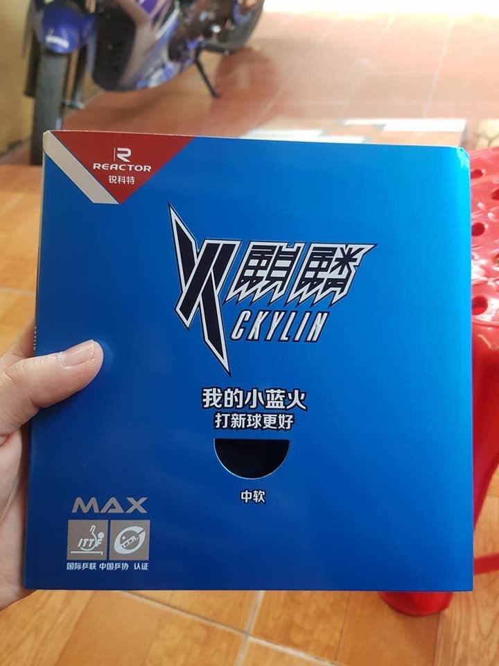 Mặt vợt bóng bàn Ckylin