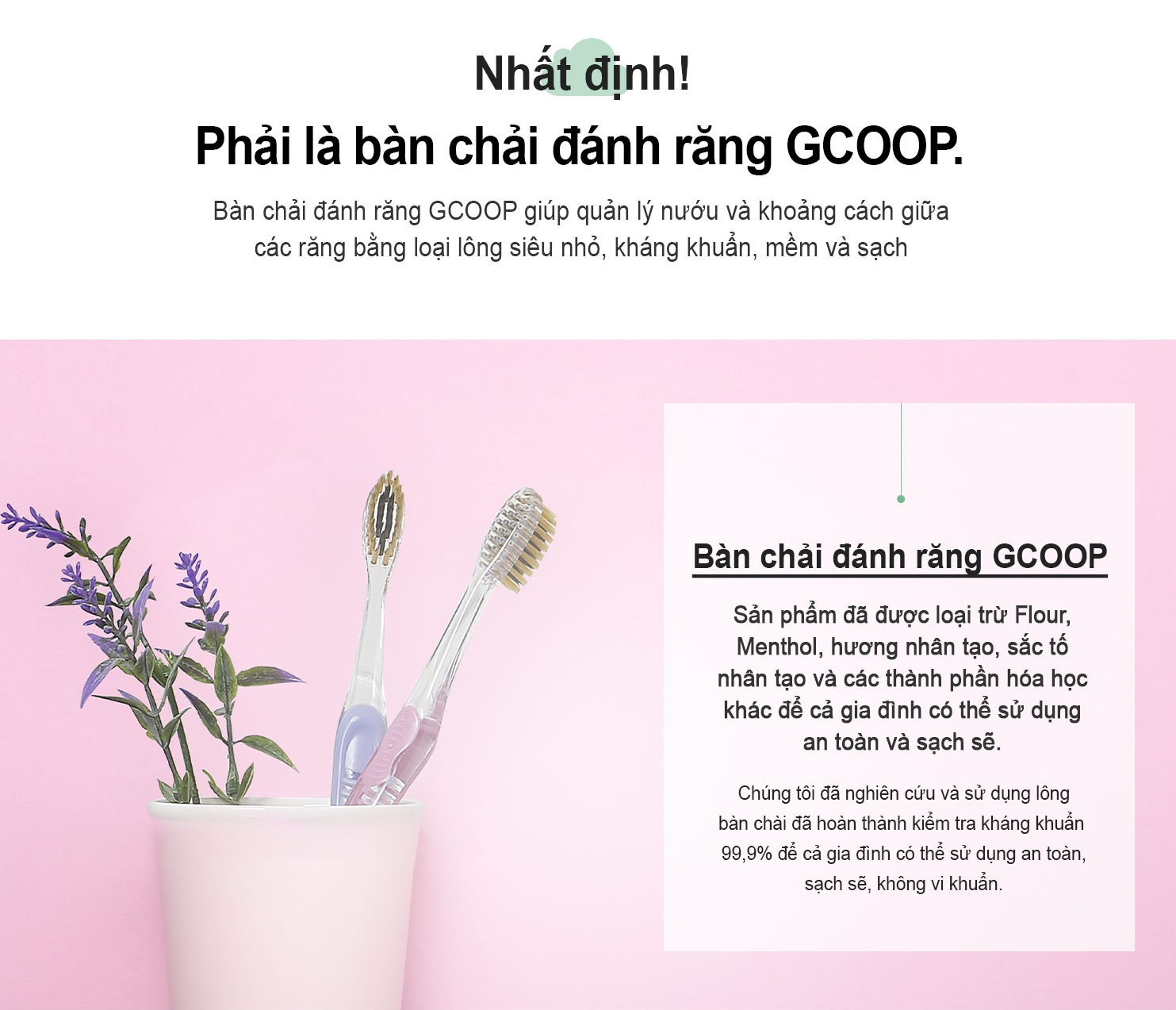 Bàn chải đánh răng GCOOP / GCOOP Toothbrush