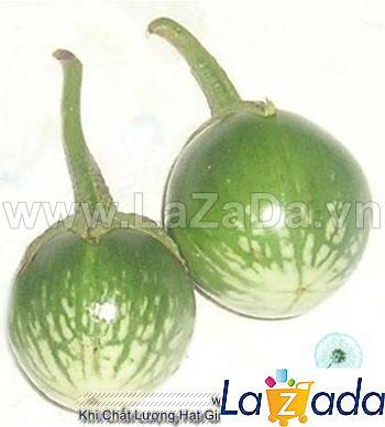 0.5Gr Hạt Giống Cà Pháo Thái Lan (B1.101| B50*X44*M223)