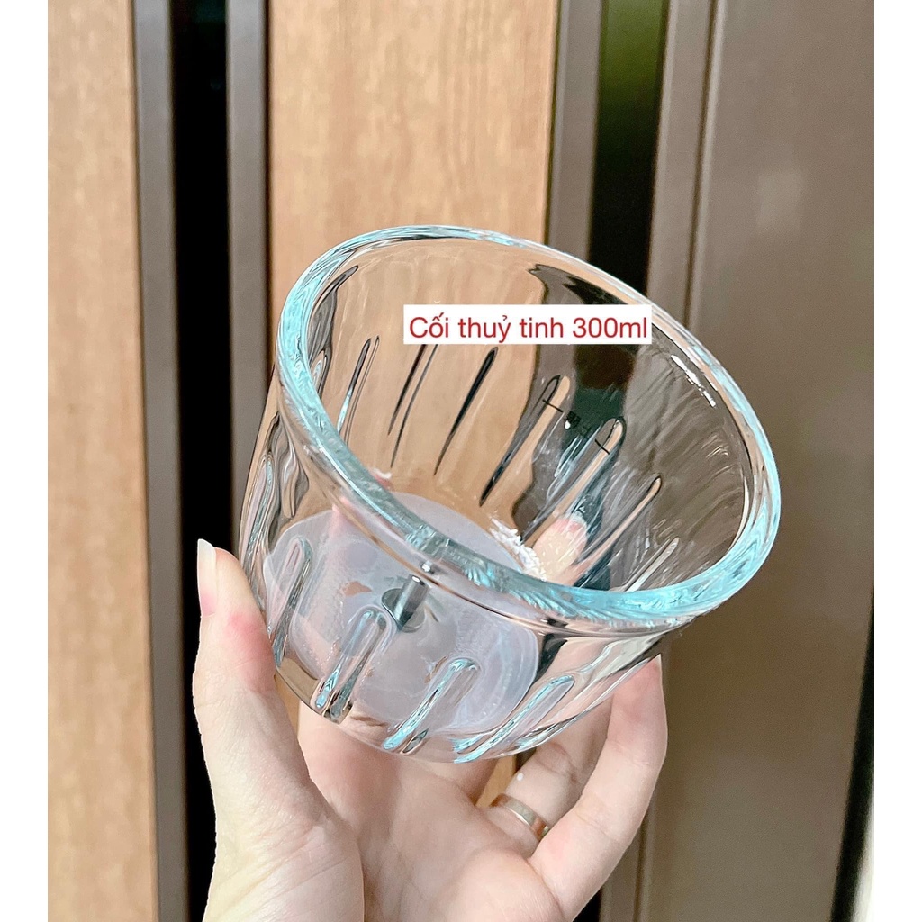 Cối Thủy Tinh Máy Xay Topwow 0,3 Lít