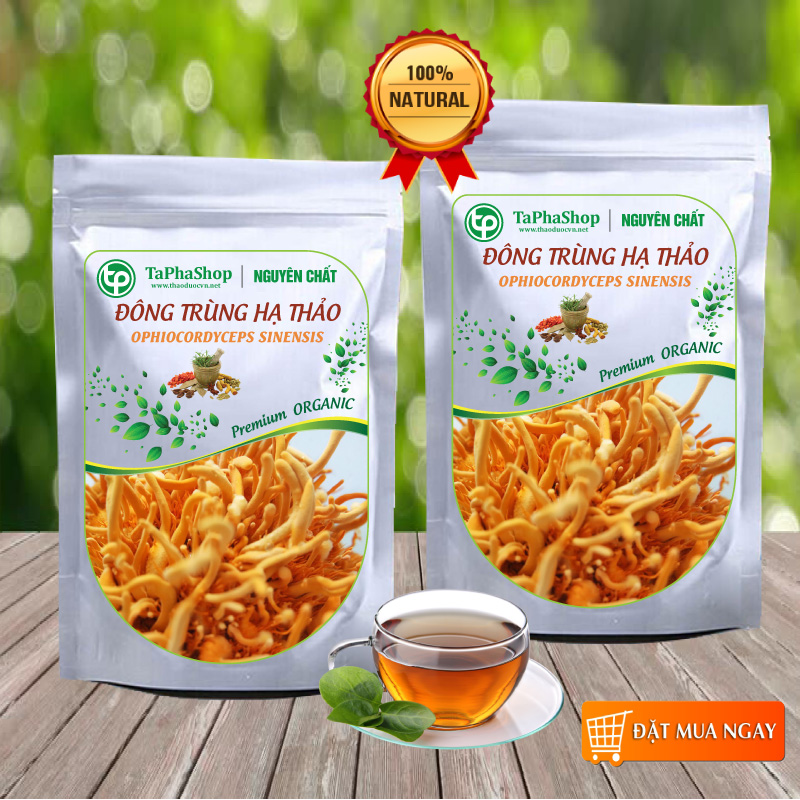 Đông trùng hạ thảo khô 100g - Thảo Dược Tấn Phát
