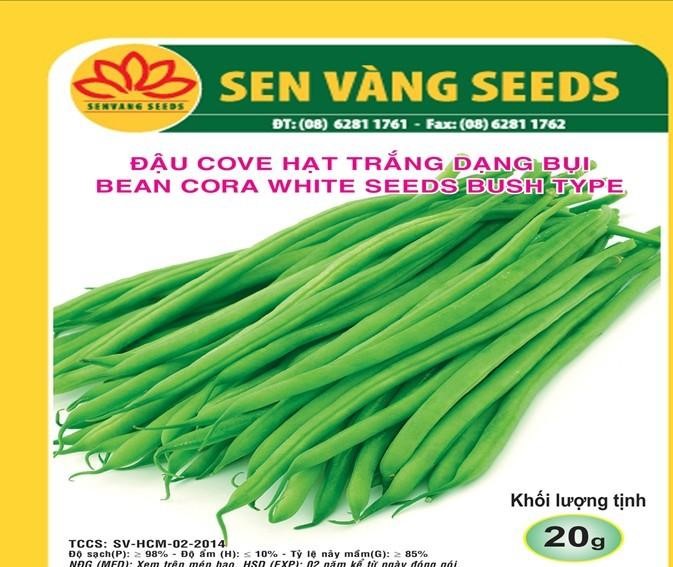 Hạt giống đậu Cove hạt trắng dạng bụi - 20GR
