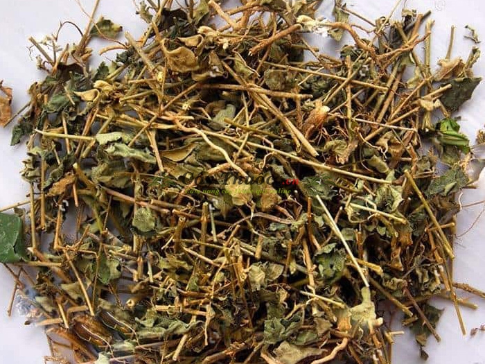 Cà Gai Leo Khô 1kg