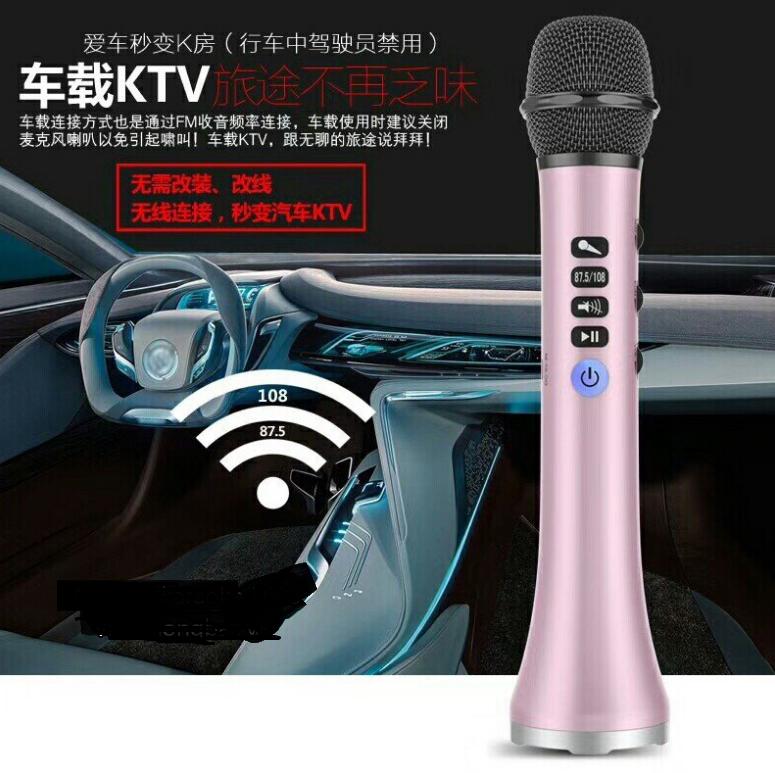 Míc hát karaoke L698