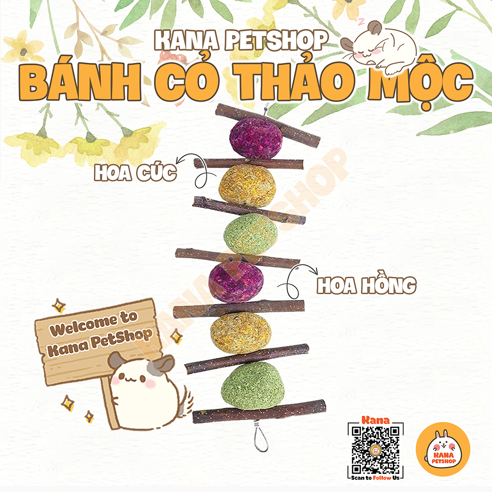 Timothy Hay Compression Treat . Hanging Timothy Treat With Apple Branches For Rabbit, Bunny, Guinea Pig