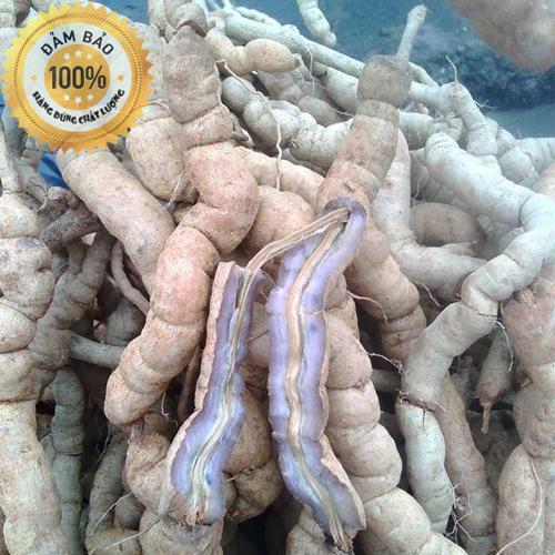 Ba kích tím | Ba kích tươi LOẠI 1