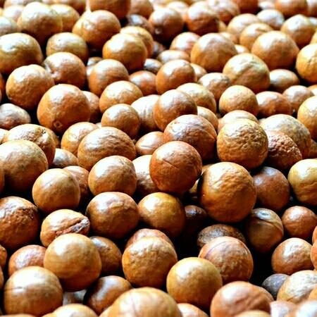 Combo 10 kg hạt macca Lâm Đồng sấy