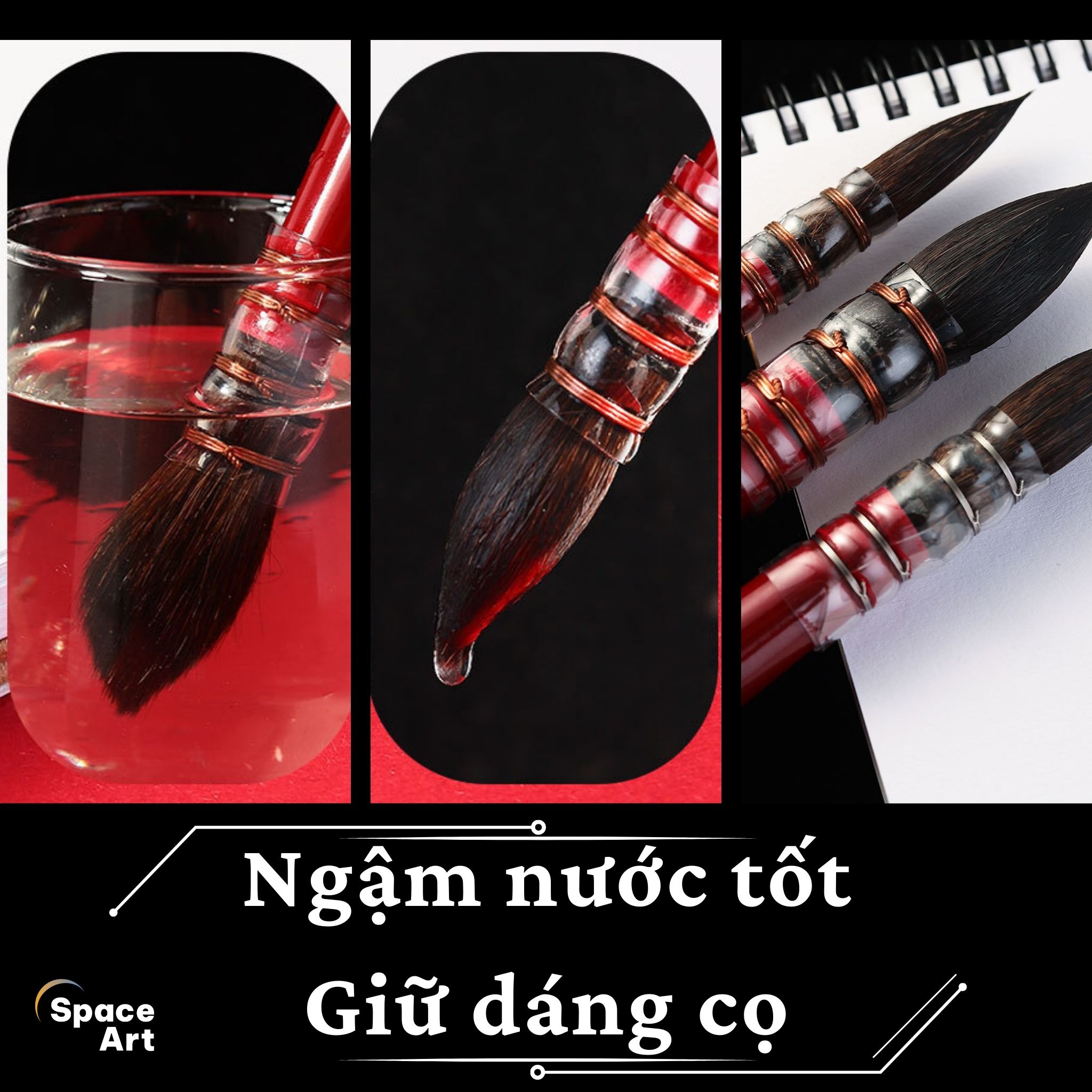 Cọ MOP Vẽ Màu Nước Lông Chồn Space Art SP300