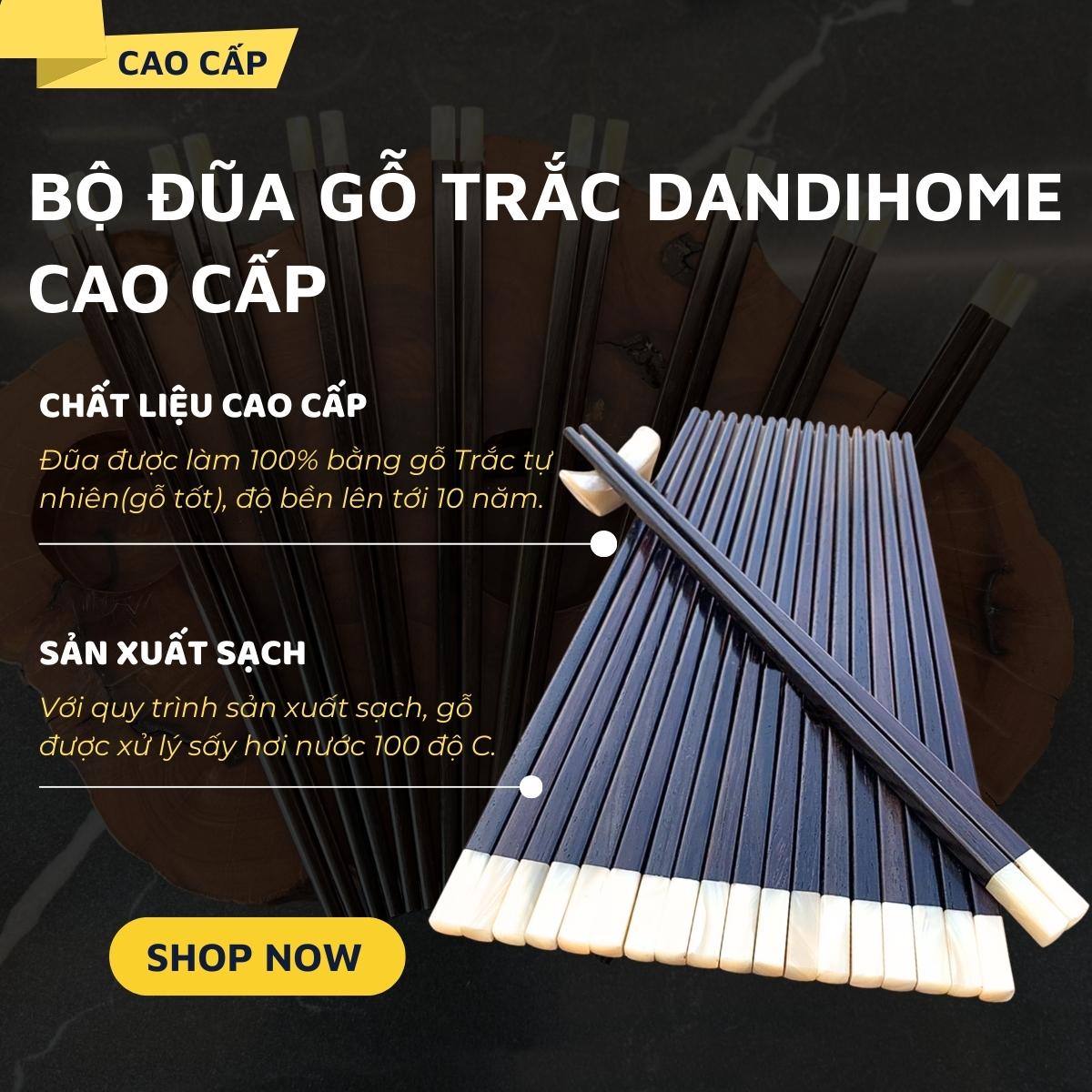 Bộ 10 đôi đũa gỗ trắc DandiHome cao cấp