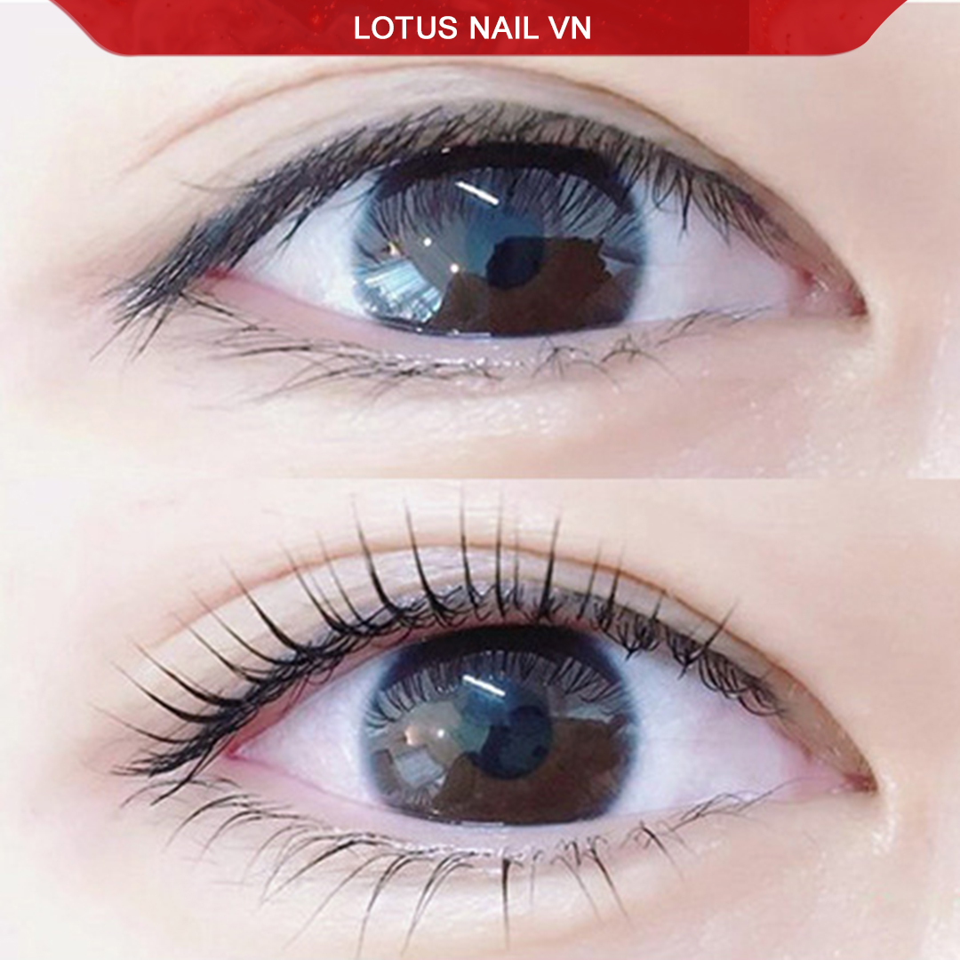 Set uốn mi Lashlift, set uốn mi colagen 3D Hàn Quốc