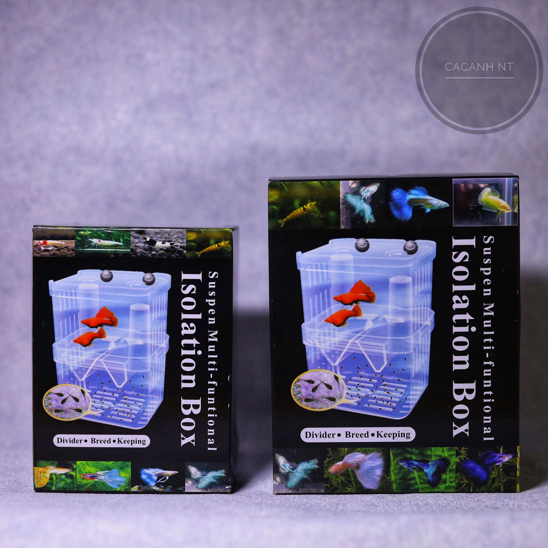 Hộp cho cá đẻ , lồng đẻ guppy , lồng dưỡng cá