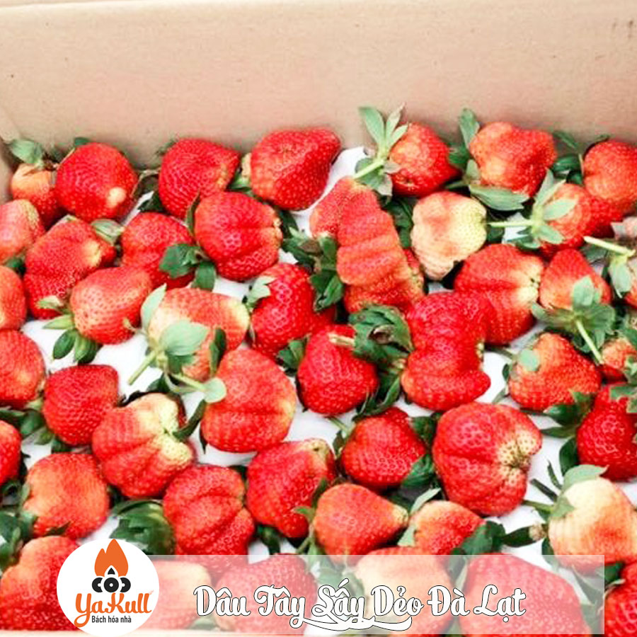 Dâu Tây Sấy Dẻo Đà Lạt 200Gr đến 600Gr