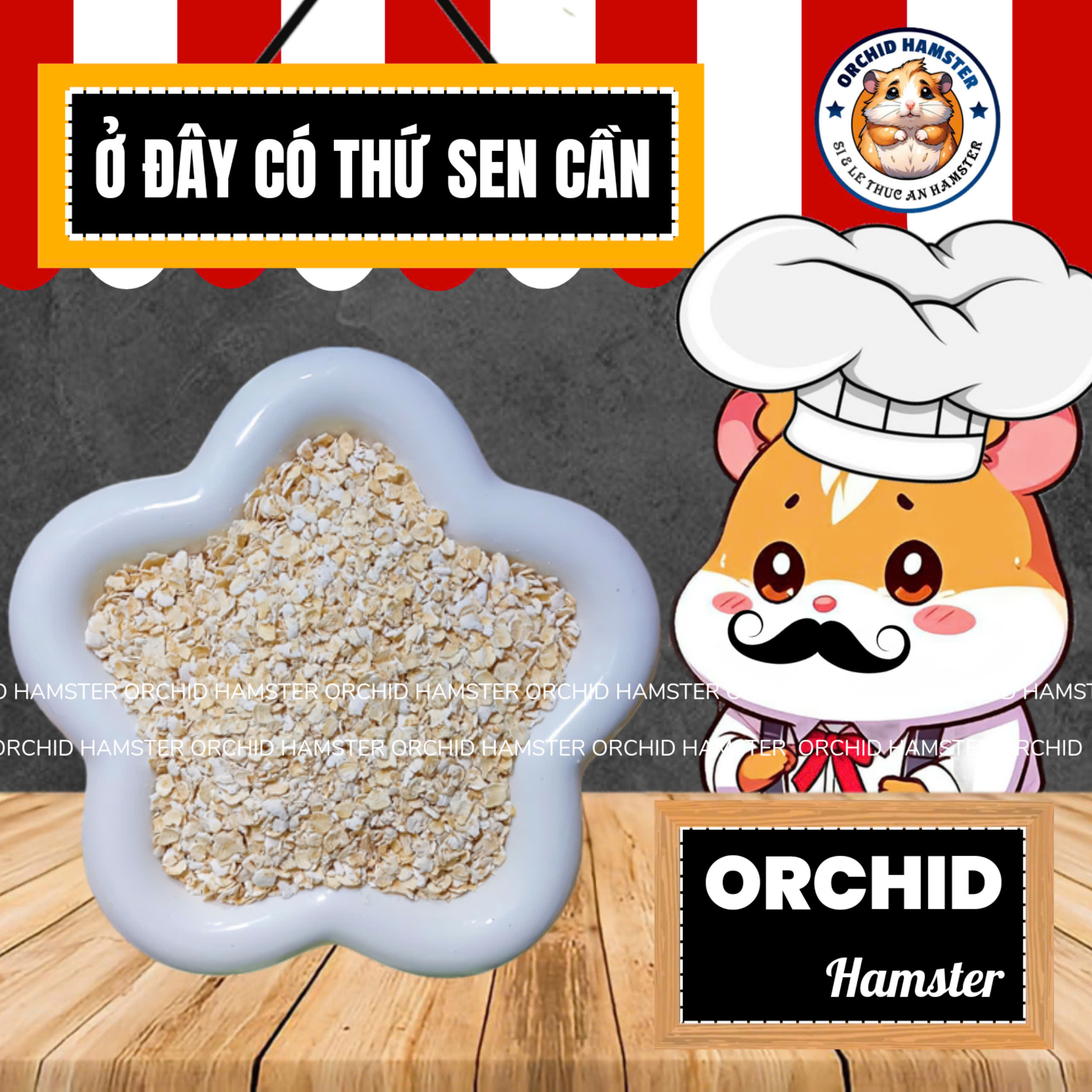 Yến Mạch Cho Hamster Giúp Bé Nhanh Mập Hỗ Trợ Dịnh Dưỡng Cho Thú Cưng