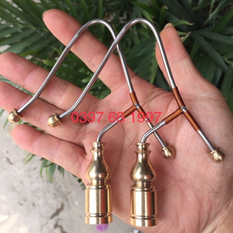 Móc đồng lắp lồng bẫy chào mào ( choè than)