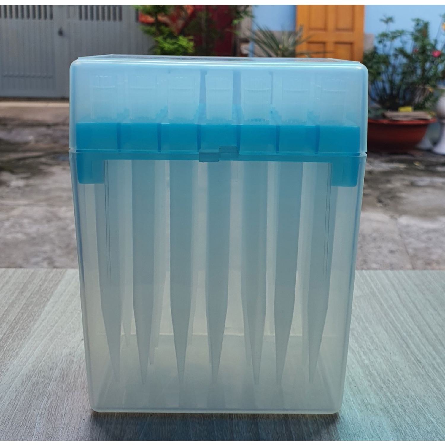 Set 250 cái đầu Típ - Côn 5000ul Kiểu Find