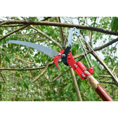 Đầu kéo cưa cành,kéo cắt cành
