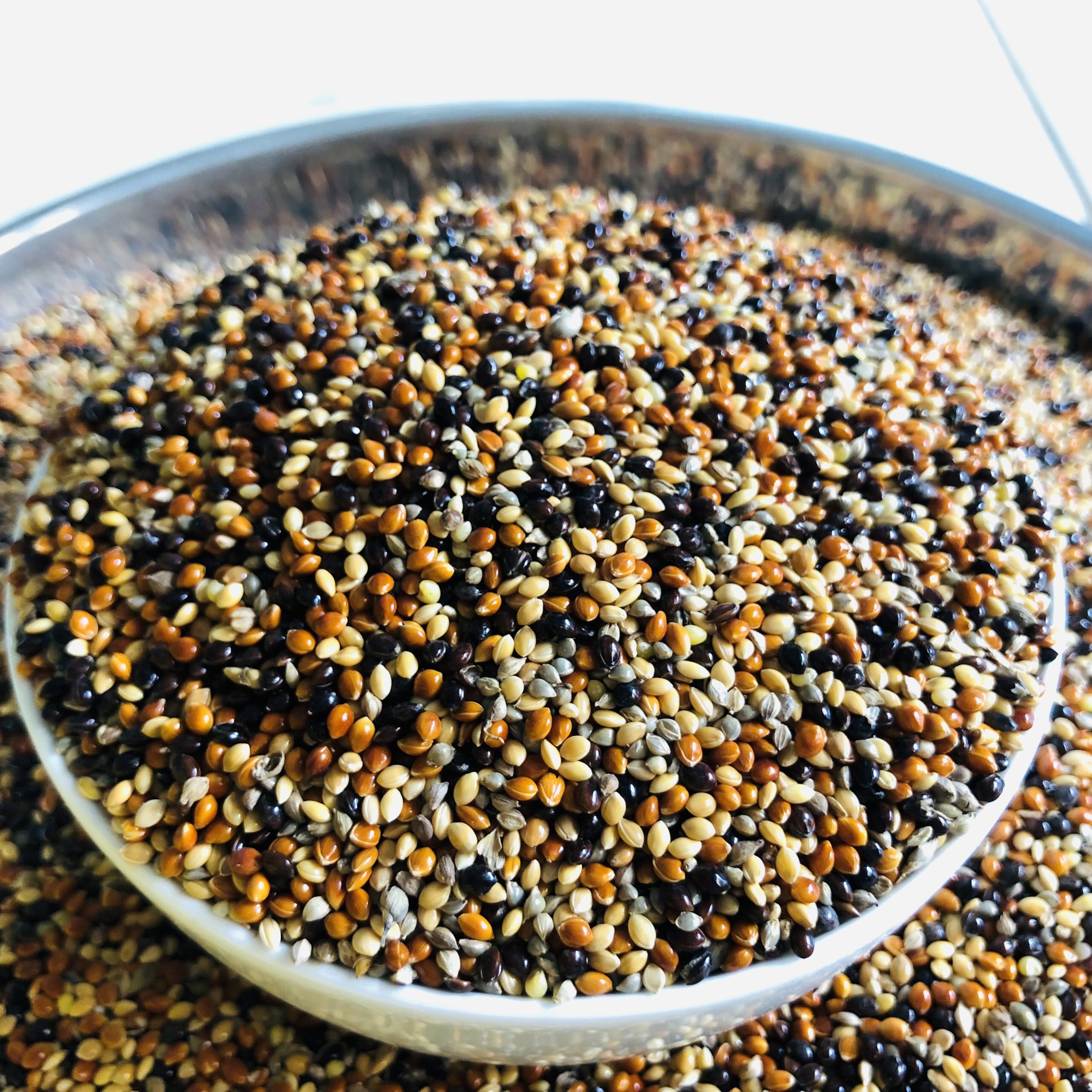 Cỏ thái chim cu gáy Javan 500gram