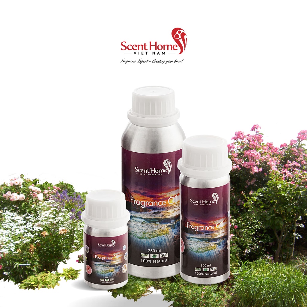 Tinh dầu Scent Homes - mùi hương (Sky Garden)