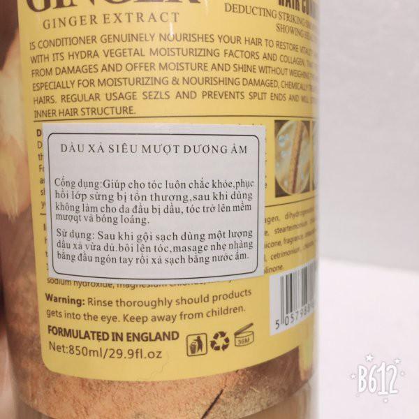 Ginger Shampoo and Conditioner