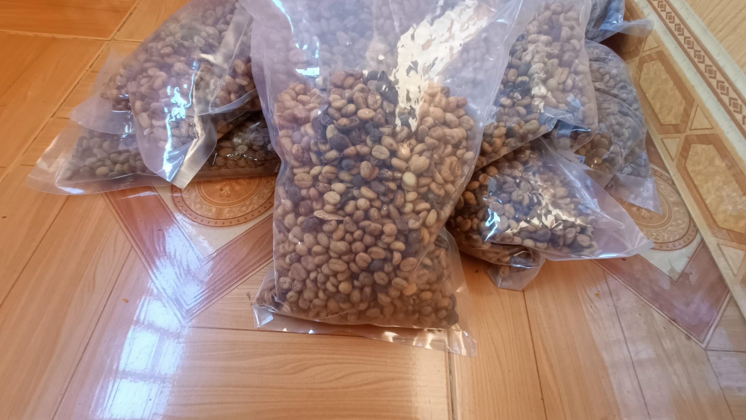 500gram Hạt giống cà phê mít vỏ lụa