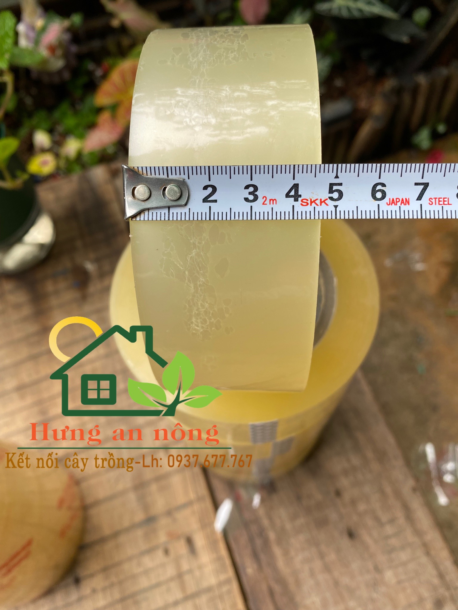 1 cây 6 cuộn băng keo 200 yard 2 ký