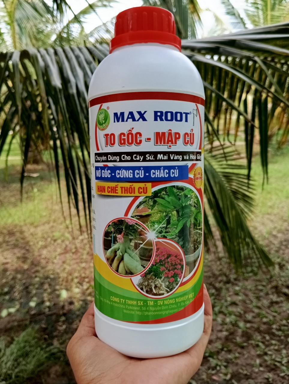 Phân Bón To Củ Chuyên Sứ, Mai, Hoa Giấy,...