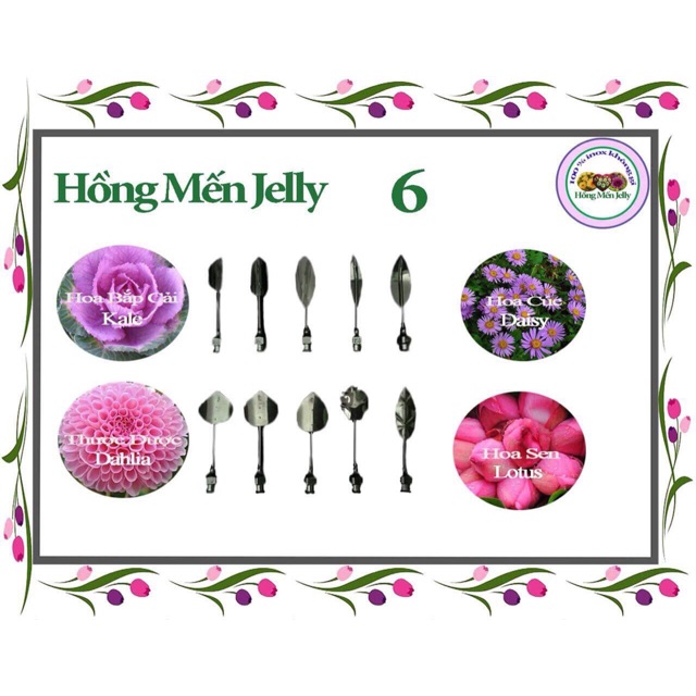 Bộ kim làm thạch rau câu 3d hồng mến mẫu 6-10