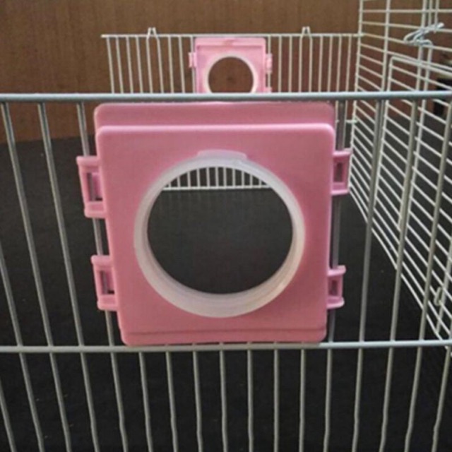 Tấm nối ống chui lồng hamster