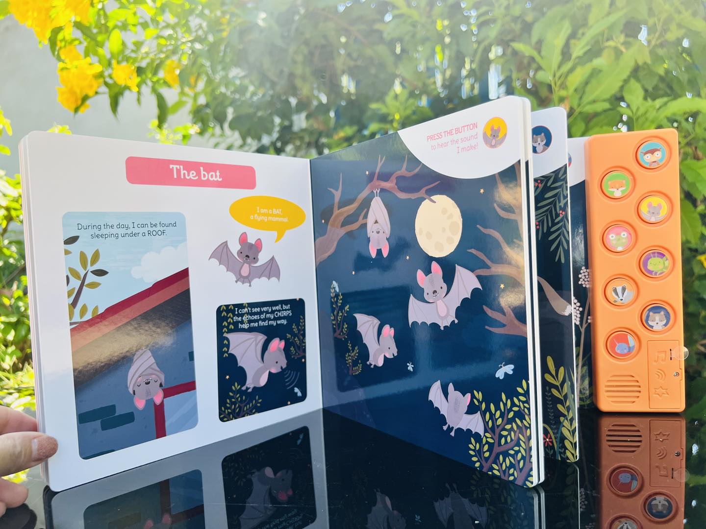 MY FIRST SOUND BOOK: NIGHT ANIMALS