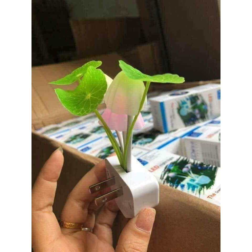 Đèn ngủ nấm cảm ứng ánh sáng
