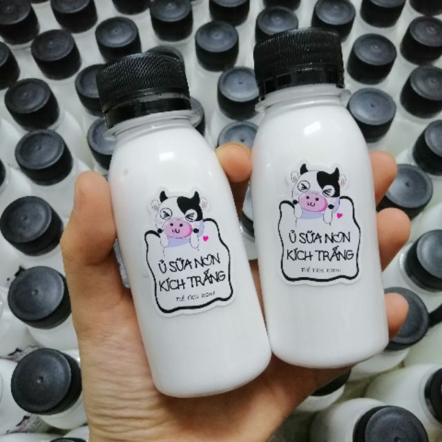 Ủ Sữa Non Kích Trắng Con Bò