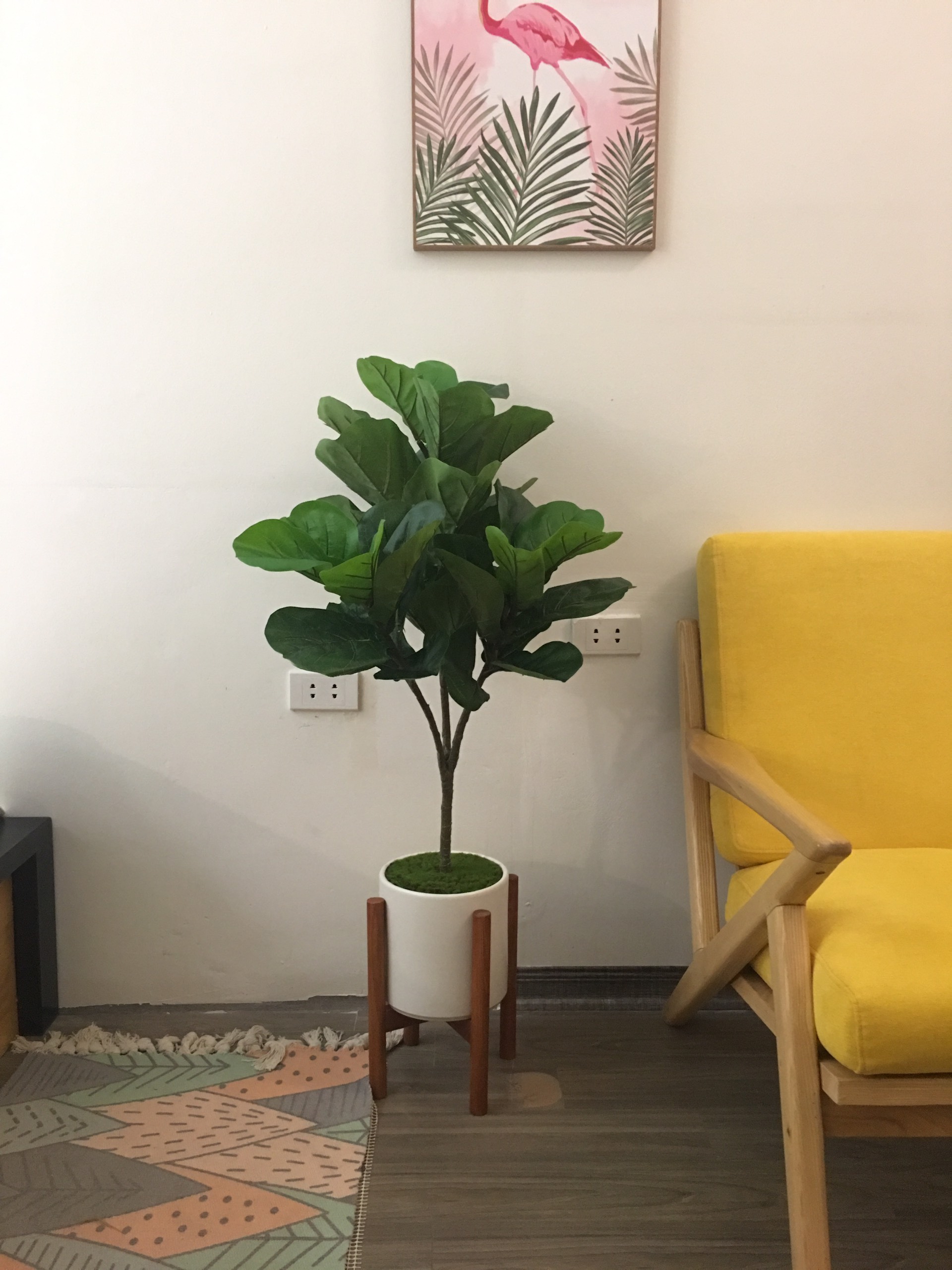 Cây Giả Decor- Cây Giả Để Phòng Lakido